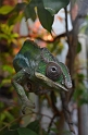 Kids_DZoo_Safari-I (76)